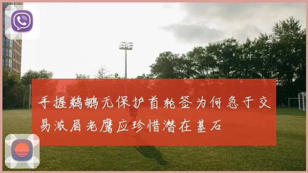 手握鹈鹕无保护首轮签为何急于交易浓眉老鹰应珍惜潜在基石